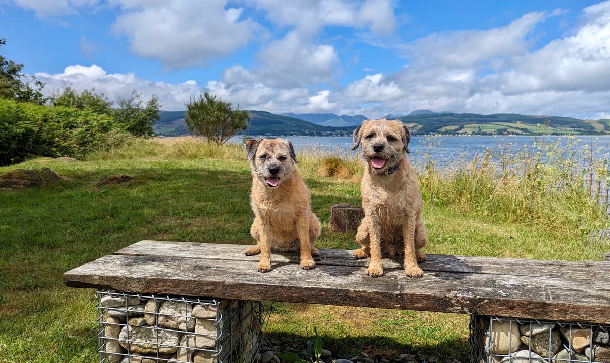 The sun did eventually come out ! @VisitArran #Arran #OutAndAboutScotland #BTPosse #KingscrossPoint #borderterriers #callieandkevin