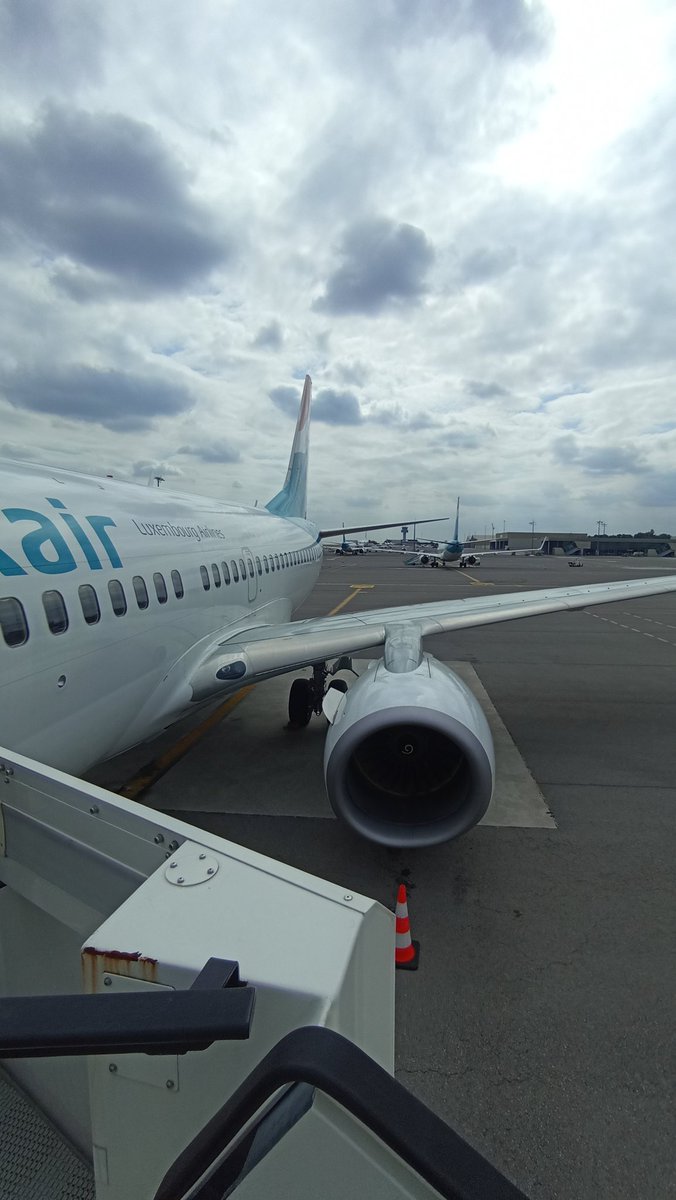 Roby Flenderson tweet media