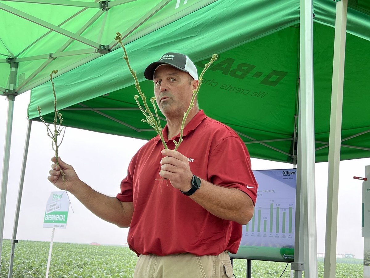 How do your soybean varieties branch and what does that mean to placement and population? Agronomist Greg Ury talks about how to evaluate and manage at BASF field day.