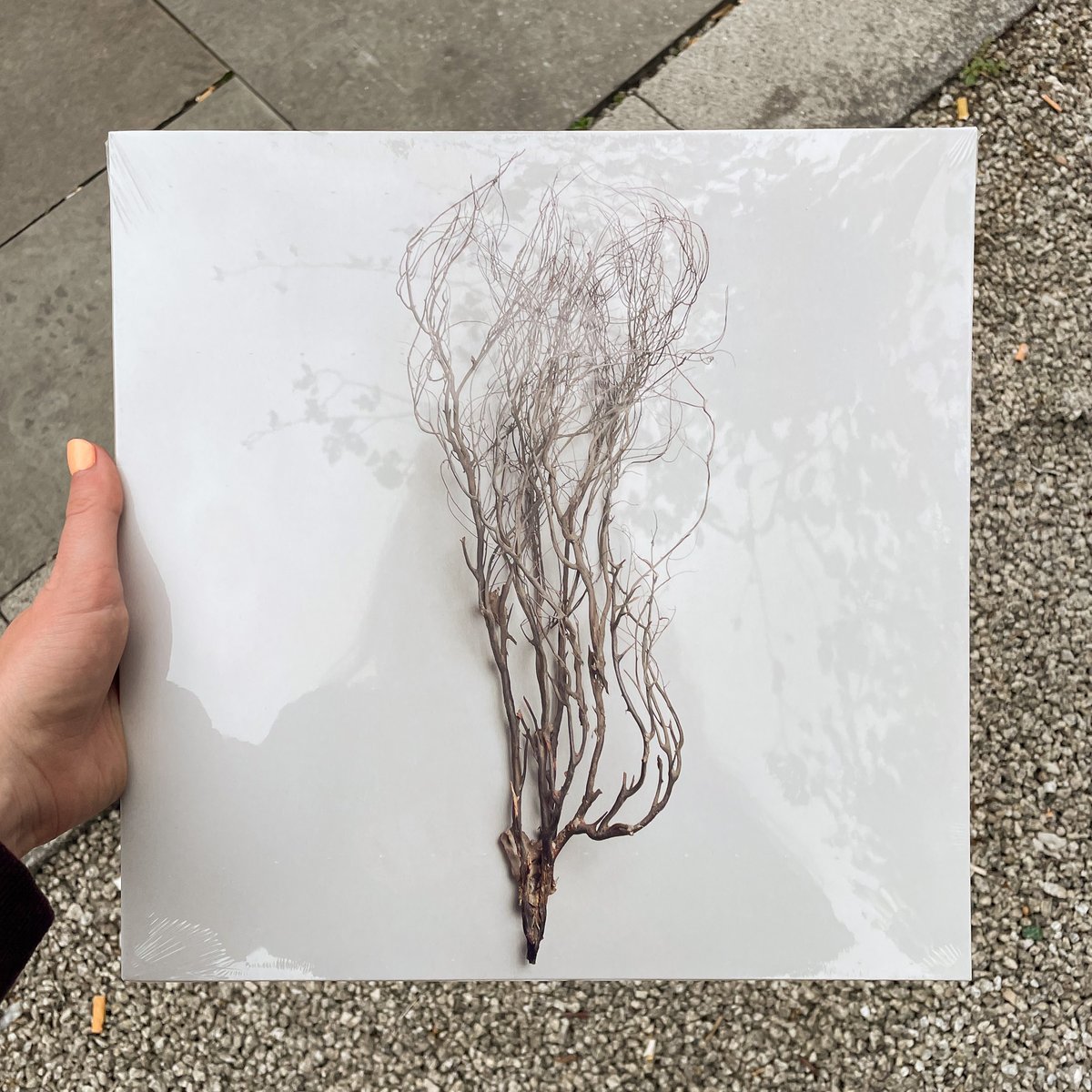 ourmodernlove's tweet image. Very happy and proud to be releasing a new album by Mary Jane Leach, ‘Woodwind Multiples’, on July 7th