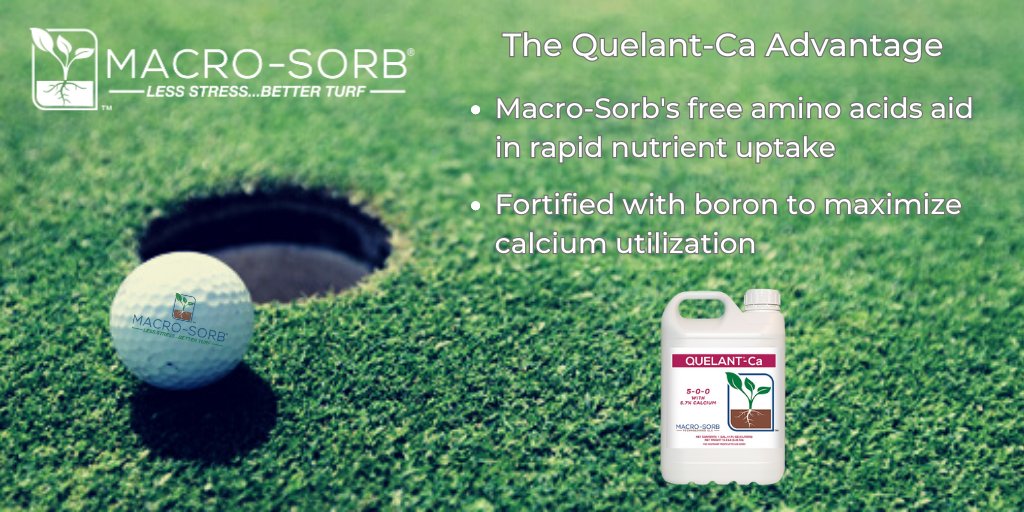 With Quelant-Ca in your fertility program, you can quickly correct and maintain the calcium levels in your turf, even during times of plant stress.  bit.ly/Quelant_Ca
#LessStressBetterTurf