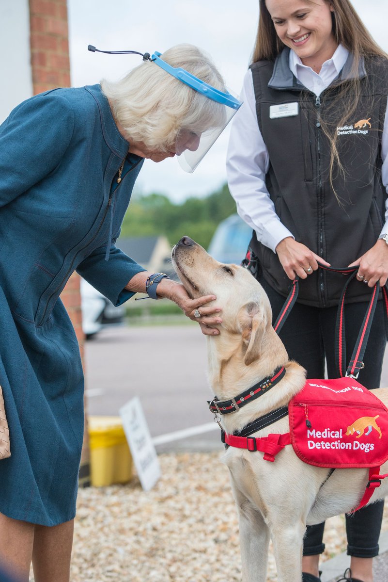 MedDetectDogs's tweet photo. Wishing our fabulous Patron, The Queen, a very Happy Birthday today!

@RoyalFamily https://t.co/6lynuMy3QM