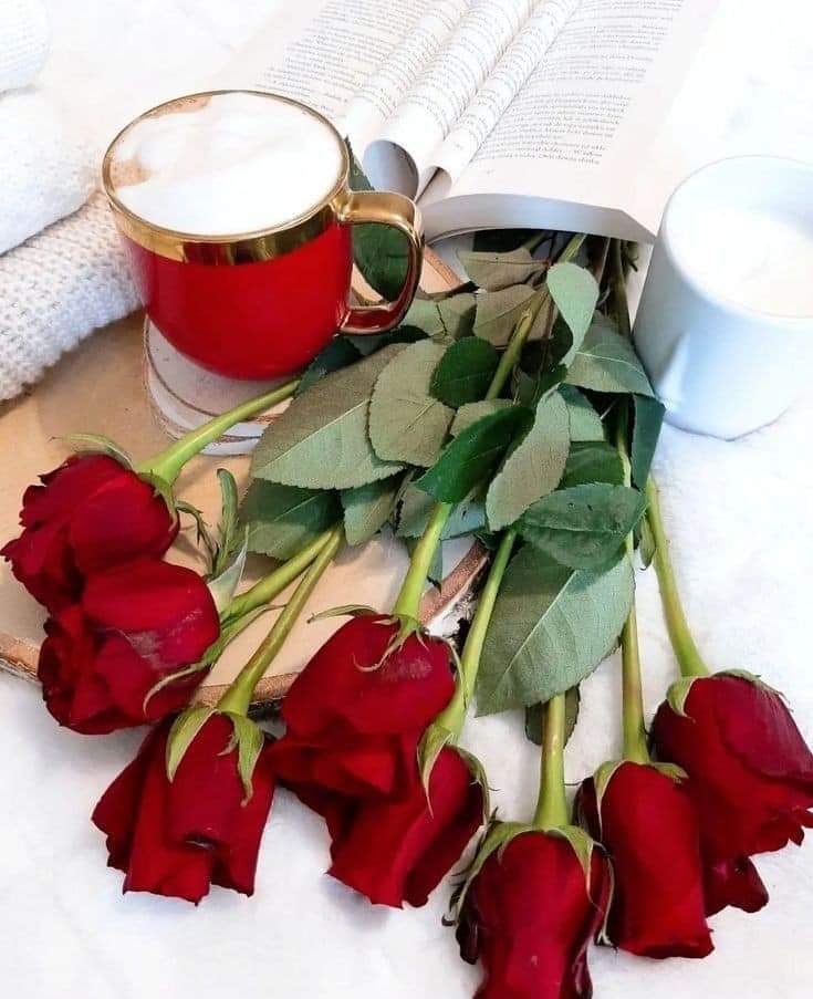 #loyal #AMY🅰️
<a href="/Alaayous3/">alaa amy</a>
<a href="/Gigi46830095/">ا. i1iitالخاص ممنوعGiGi</a>
<a href="/_HZTT/">عيون المها 🇮🇶</a>
@foz3x3
@_11jj11
@MrAlharbi13
<a href="/aminuallah10/">aminu allah ⁽ᵂᵃʳʳᶦᵒʳ ᵒᶠ ᴾᵃᵏᶦˢᵗᵃⁿ⁾</a>
<a href="/GinaJardines/">Cleopatra</a>
@75Mahrus
<a href="/hisakoi11/">彩彩（さあや）🍀</a>
<a href="/zzxxyyu/">Ledger Support Account</a>
<a href="/fwraan/">نوف 🌹</a>
<a href="/Qs3488/">Qamar Shahzad🦅</a>
<a href="/FlorMeninnaa/">Regina Dua Lipa Brasil</a>
<a href="/AminChaudhry12/">Amin Chaudhry</a>
<a href="/MrMrnagah/">Mr.Knight</a>
<a href="/electwave_music/">Electwave Official</a>
<a href="/louzival2011/">🇧🇷Louzival 2011 MGWV</a>
<a href="/balbirs1728/">Balbir Singh</a>
<a href="/Maria_Dzadina/">Maria Dina</a>
<a href="/Dark_Camus/">🅾.🅳.🅲.🅶.</a>
<a href="/BeatriceLacy/">Beatrice Lacy</a>