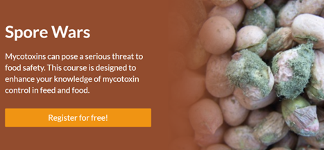 📢 Exciting News! 🌾 Enroll in the Spore Wars Course on #Mycotoxin Control for Food Safety and become a #FoodSafety champion! 🌍 Gain the latest knowledge and practical skills to protect our food supply. Join us and start your journey today!  …ybeaninnovationlab.getlearnworlds.com/course?coursei…