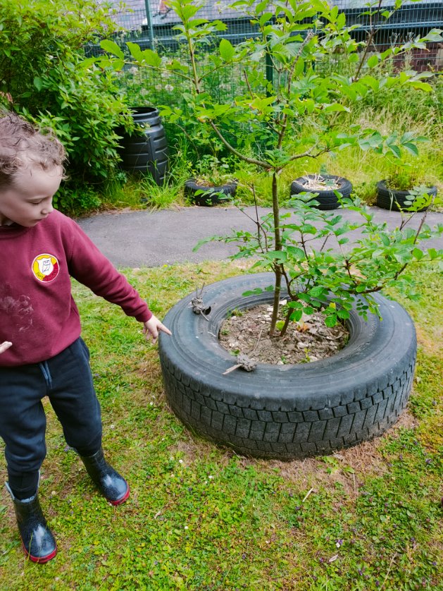 Foundation Stage 2 tweet media