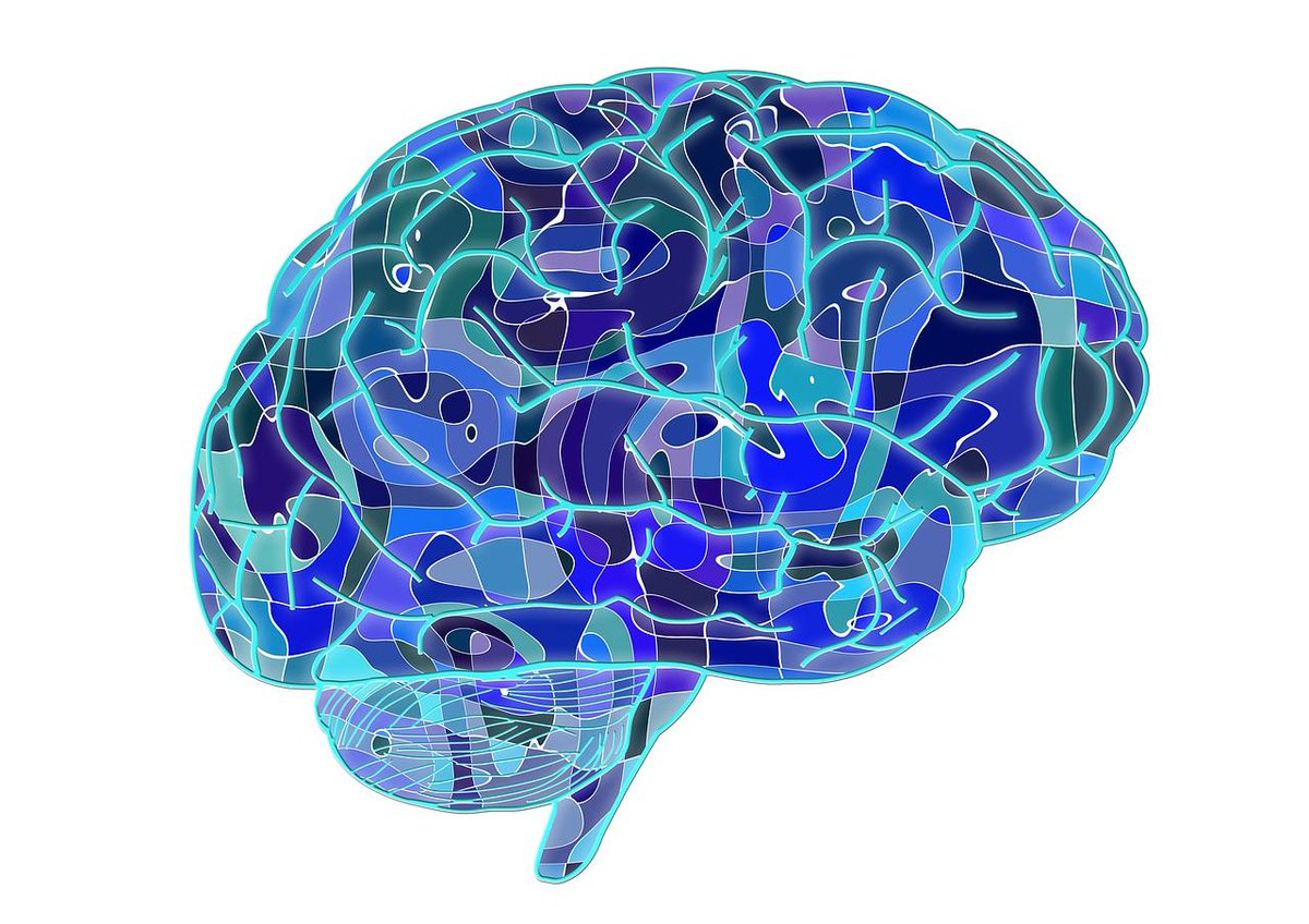 Doctoral and Researcher College, Uni of Reading (@unirdg_phd) on Twitter photo 🧠🚜 Can brain activity inform us about the neurotoxicity of agricultural compounds? Funded PhD project <a href="/ReadingBioSci/">UoR BioSci</a> in partnership with Syngenta. Apply by 11 August! jobs.ac.uk/job/DAS410/phd…
#neurotoxicity #neuropharmacology #neuroscience #pharmacology #phdscholarships #PhD 🧠🚜 Can brain activity inform us about the neurotoxicity of agricultural compounds? Funded PhD project <a href="/ReadingBioSci/">UoR BioSci</a> in partnership with Syngenta. Apply by 11 August! jobs.ac.uk/job/DAS410/phd…
#neurotoxicity #neuropharmacology #neuroscience #pharmacology #phdscholarships #PhD