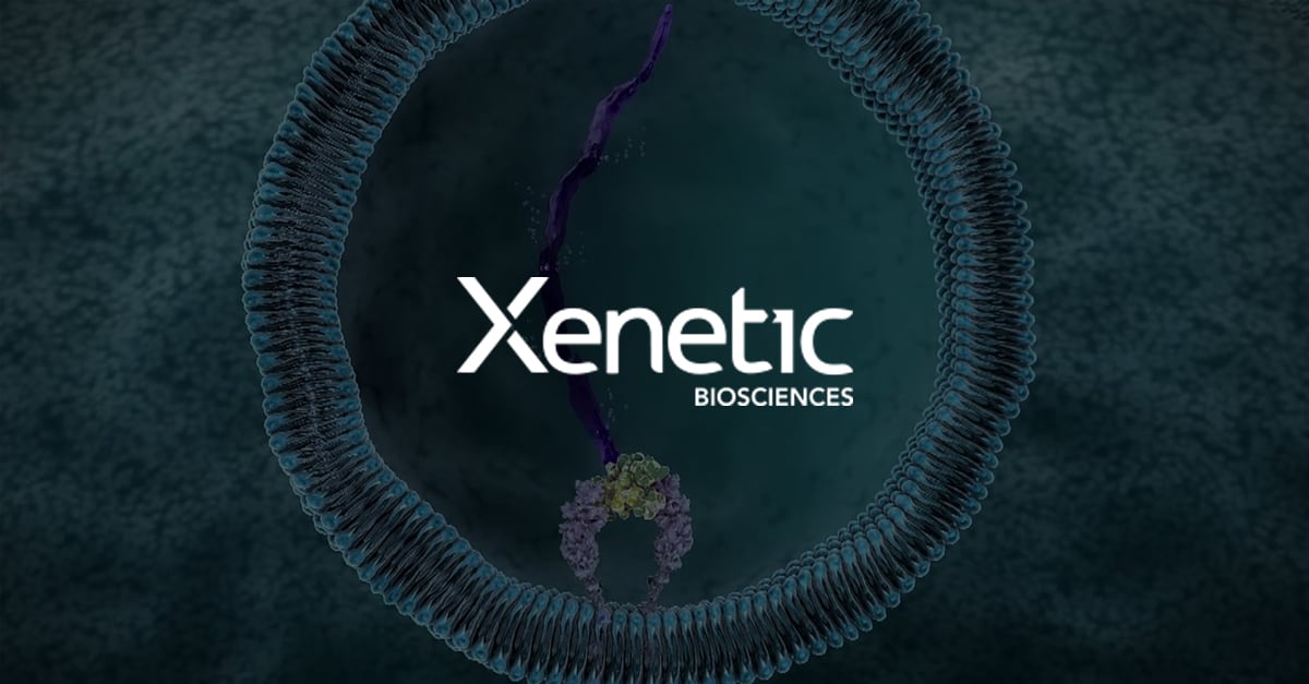 We are utilizing our proprietary technologies to create life-changing therapies. Take a look at our pipeline here: bit.ly/3iVRpAC  

$XBIO #Oncology #SolidTumors #PancreaticCancer #CARTcells #DNase