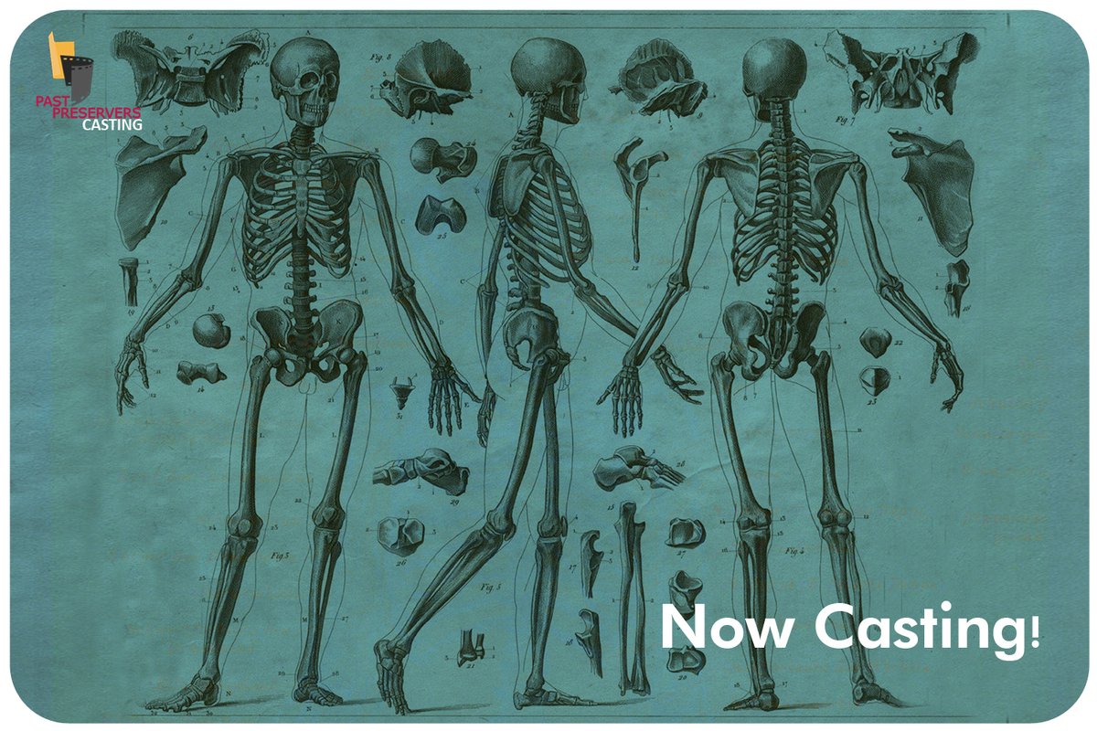 Pastpreservers's tweet image. We like a challenge at Past Preservers!
A client has asked us to find an American forensics expert based in the UK for an upcoming TV project. Twitter please do your thing!