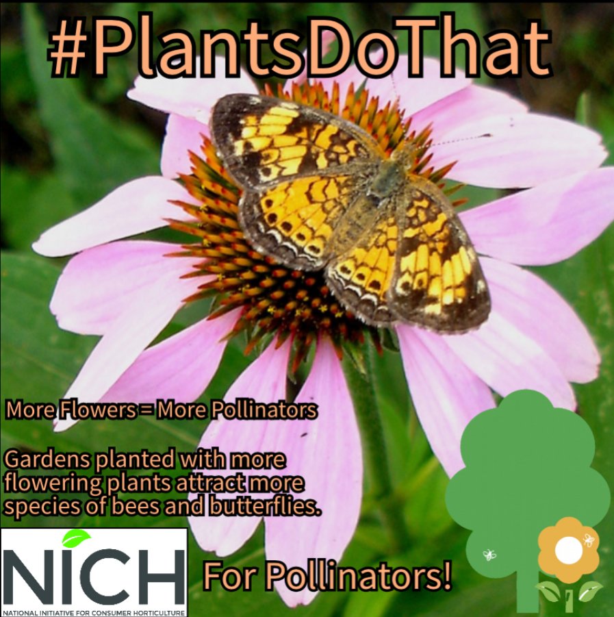#plantsdothat
#plantdiversity
#celebratethepollinators
#pollinatormonth
#savethepollinators
#pollinators