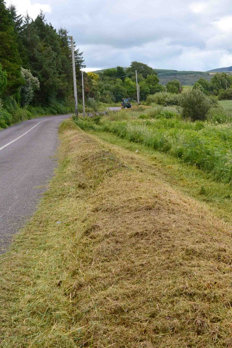 Roadside shaving along the lovely road, past Lough Allua, to Ballingeary in West Cork, not even trimming. Not a blade of grass left.