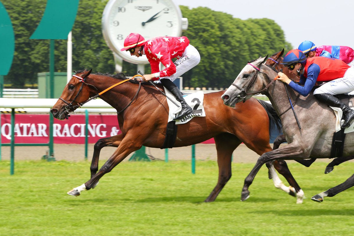 WOODCHUCK (Birchwood @Huderie) remporte le Prix du Mont Pagnotte (Classe 2) à @fgchantilly pour ce qui n'était que sa troisième sortie. Entrainé par N. Bellanger @S_Planque était en selle. 📸@ScoopDyga