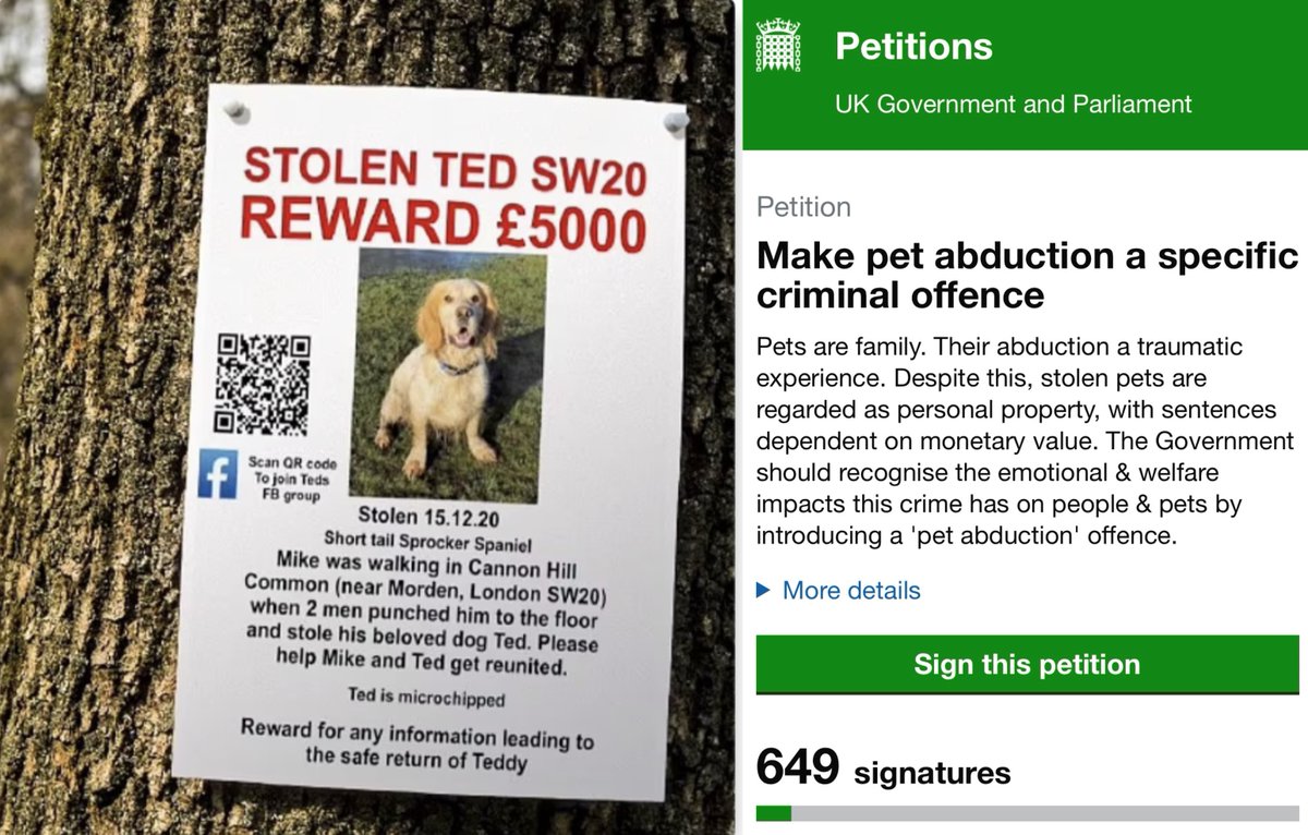 NEW PETITION: 'Make pet abduction a specific criminal offence' Disappointed that the government promised a new #PetAbduction offence but then dropped it with the #KeptAnimalsBill? Then please sign/share & help reach 100K signatures ASAP: petition.parliament.uk/petitions/6401… #PetTheftReform
