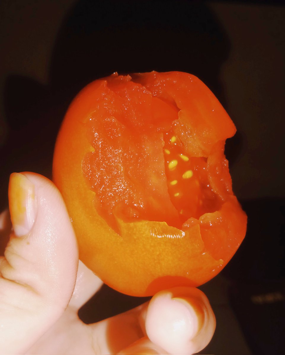 ciciipa's tweet photo. sp suka gadoin tomat 🤤☝🏻🍅🍅 https://t.co/rT9lqfwUqt