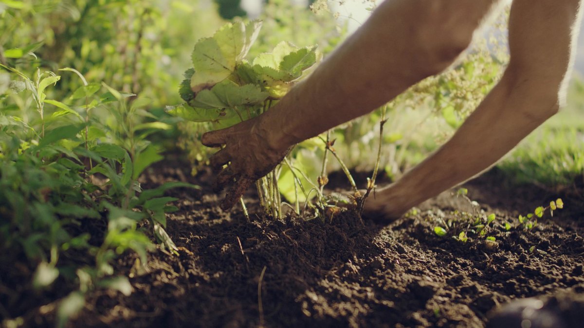 Attention #greenindustryprofessionals! 🌸 Elevate your career w/ RINLA's self-paced #RI Certified Horticulturist Program. Unleash your potential and sow your seeds of success! Learn more about RI*CH here: bit.ly/RINLA_RICH

#HorticultureCertification 
#RINLARICHProgram