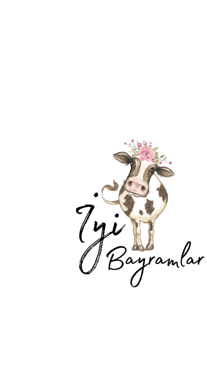 cetintub's tweet photo. Bayram story 🌸 herkese hayırlı bayramlar ♥️
#iyibayramlar 
#Kurban2023 #KurbanBayram https://t.co/qNGWG0poF4