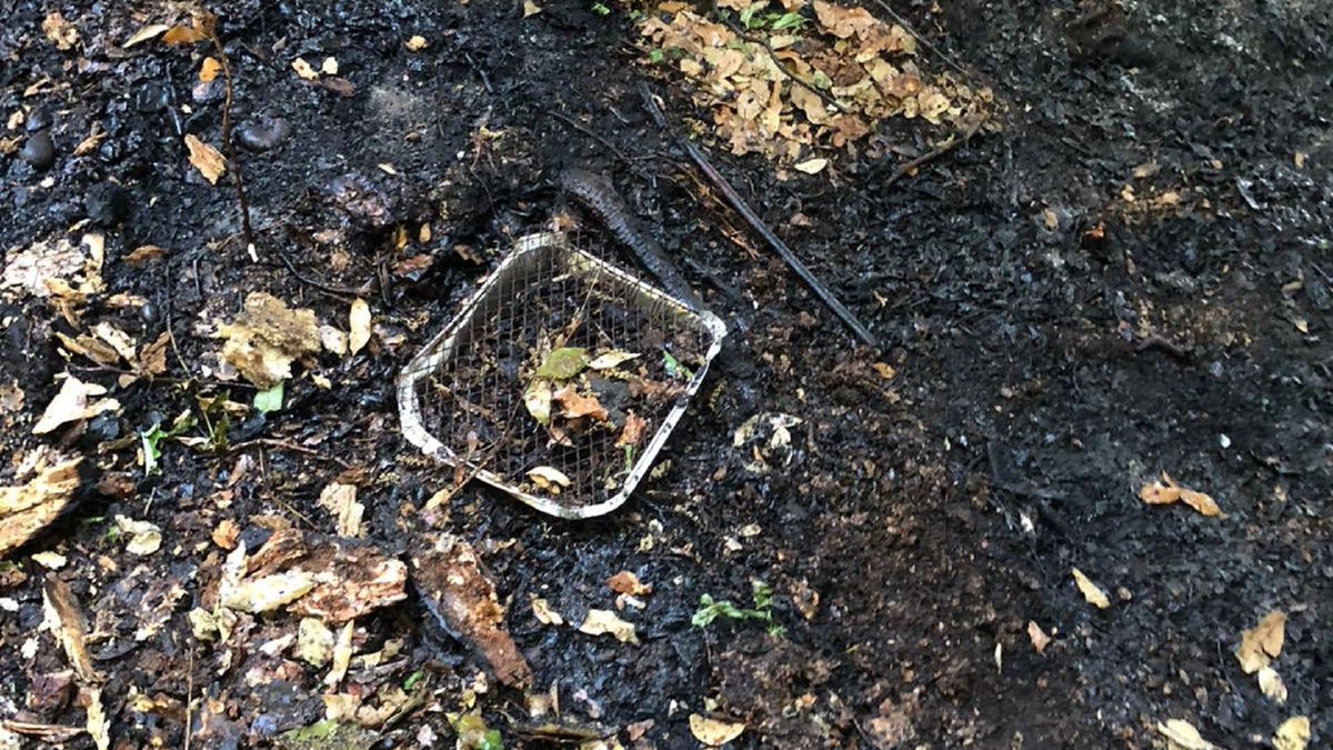 🚨 Disposable BBQs are banned in all Waltham Forest parks and open spaces.  

They can easily cause grass fires, especially in hot weather when the ground is dry. 📷

See <a href="/LondonFire/">London Fire Brigade</a>'s top BBQ safety tips! 👉orlo.uk/ICl6I <a href="/LFBWForest/">LFB Waltham Forest</a>