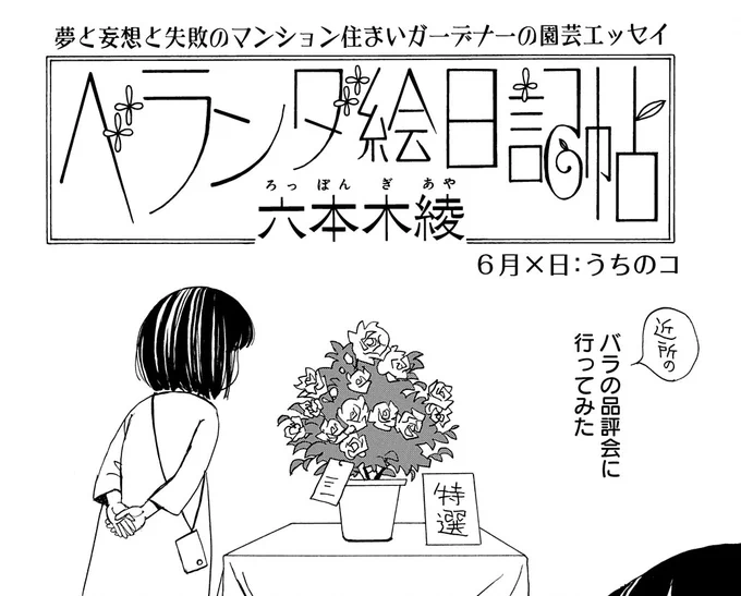 【メロディ8月号本日発売】 六本木綾先生「ベランダ絵日記帖」 やっぱり「うちのコ」が一番可愛い…。バラの品評会に行き思い出すのは大事な大事な愛すべきうちのコのこと…?