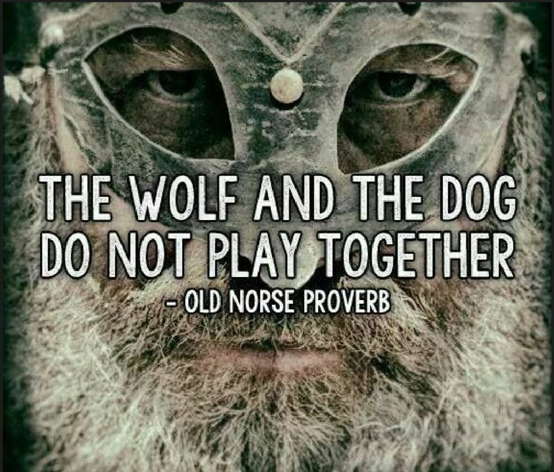 Runa Raven ~ᚱᚢᚾᚨ ᚱᚨᚡᛖᚾ~ tweet media