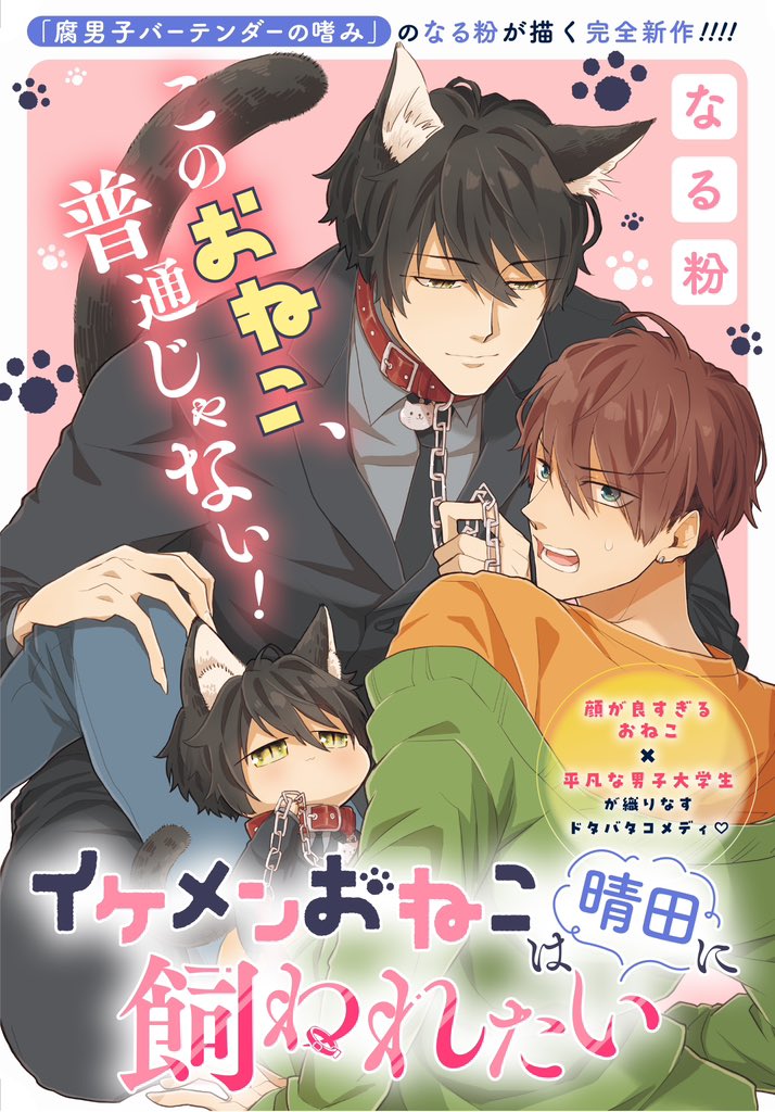 改めまして、ゼロサムオンラインさんにて「イケメンおねこは晴田に飼われたい」という漫画を連載させて頂く事になりましたわー!!👏👏👏🎉 7月14日(金)からです! またBがLしてるようで全くしてない漫画です☺️欲望のままにおねこ楽しく描いてます! 読んで頂けたら嬉しいです!