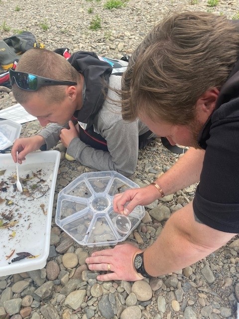 4AfonLIFE's tweet photo. Great #teambuilding afternoon on Monday kick sampling on the #Tywi in Llandovery.
So much life in such a tiny section of the river, and we all learnt so much about the different types of invertebrates and ID skills.
🦗🦟🦂🪲🦈 https://t.co/WjluWn2vAk