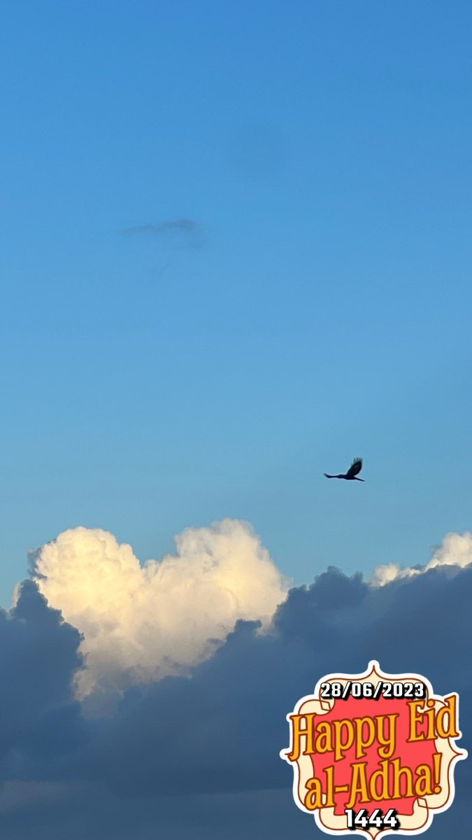 May Allah Accept All Our Prayers &amp; Grant Us Forgiveness In This Eid Ul Adha. عيد الأضحى #Eid2023 May Allah Unite Our Ummah Let Us Be One.އީދު ގެ ހެޔޮ ތަހުނިޔާ 🤍🕋🕊1444 #EidAdhaMubarak #Maldives #EidAlAdha2023 #Hajj1444