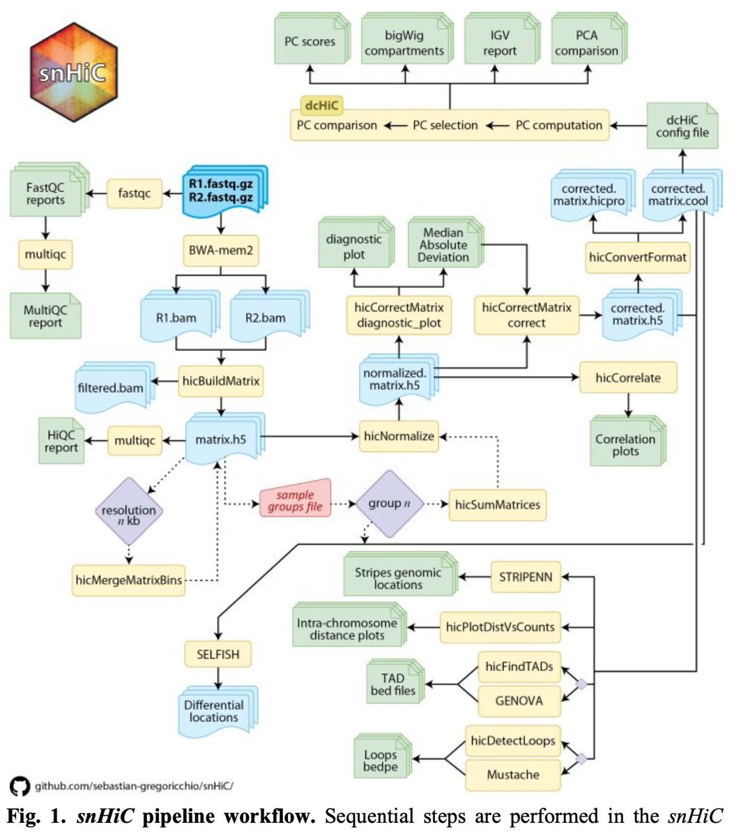 Bioinformatics Advances (@bioinfoadv) on Twitter photo snHiC: a complete and simplified snakemake pipeline for grouped Hi-C data analysis by <a href="/s_gregoricchio/">Sebastian Gregoricchio, Ph.D.</a> & <a href="/WilbertZ/">Wilbert Zwart</a> in <a href="/BioinfoAdv/">Bioinformatics Advances</a> doi.org/10.1093/bioadv… @zwartlab snHiC: a complete and simplified snakemake pipeline for grouped Hi-C data analysis by <a href="/s_gregoricchio/">Sebastian Gregoricchio, Ph.D.</a> & <a href="/WilbertZ/">Wilbert Zwart</a> in <a href="/BioinfoAdv/">Bioinformatics Advances</a> doi.org/10.1093/bioadv… @zwartlab