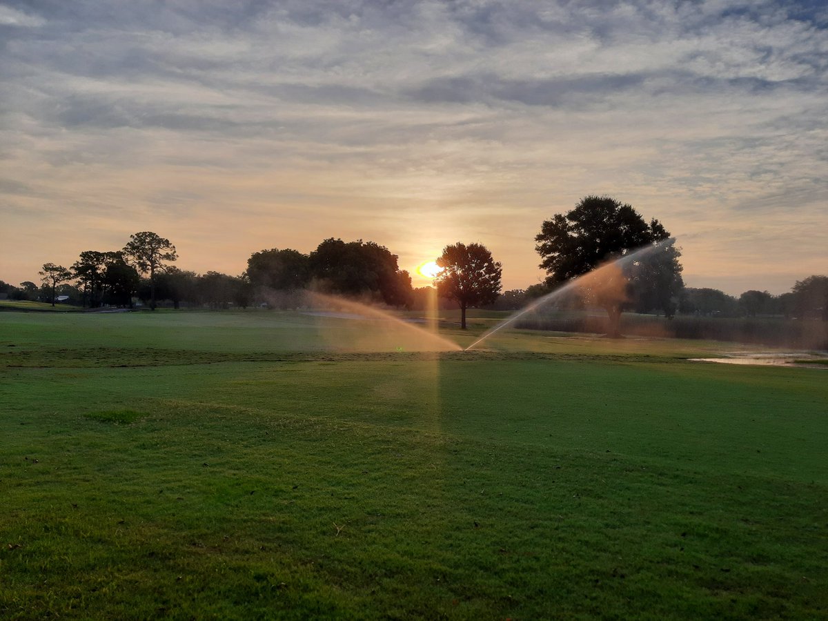 GerstungTurf's tweet photo. Sod being laid. It's a good feeling of completion during this drainage project. #turflife #myofficeview https://t.co/BAH4ImCZC0