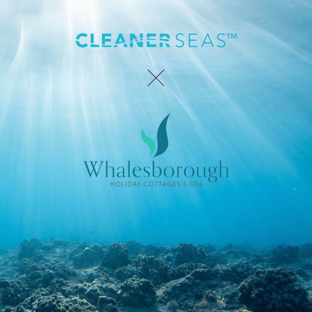 CleanerSeasGroup™️ (@cleanerseasgp) on Twitter photo NEW PARTNER: <a href="/whalesborough/">Whalesborough</a>
Through laundry partnerships, we can take on microfibres at every level. The Walesborough Holiday team have joined the Cleaner Seas™ crew. We are installing filters on all their washing machines + a commercial filter in the laundry room on site. NEW PARTNER: <a href="/whalesborough/">Whalesborough</a>
Through laundry partnerships, we can take on microfibres at every level. The Walesborough Holiday team have joined the Cleaner Seas™ crew. We are installing filters on all their washing machines + a commercial filter in the laundry room on site.