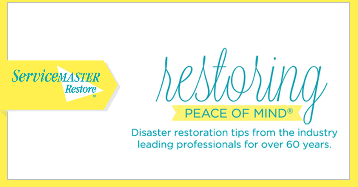 SMWesterly's tweet photo. Today is National Insurance Awareness Day! Wahoo! ServiceMaster By Mason is excited to work directly with local, regional and national insurance providers to ensure a smooth process when customers experience a disaster in their home or businesses. #NationalInsuranceDay https://t.co/1U4gbJnnnB