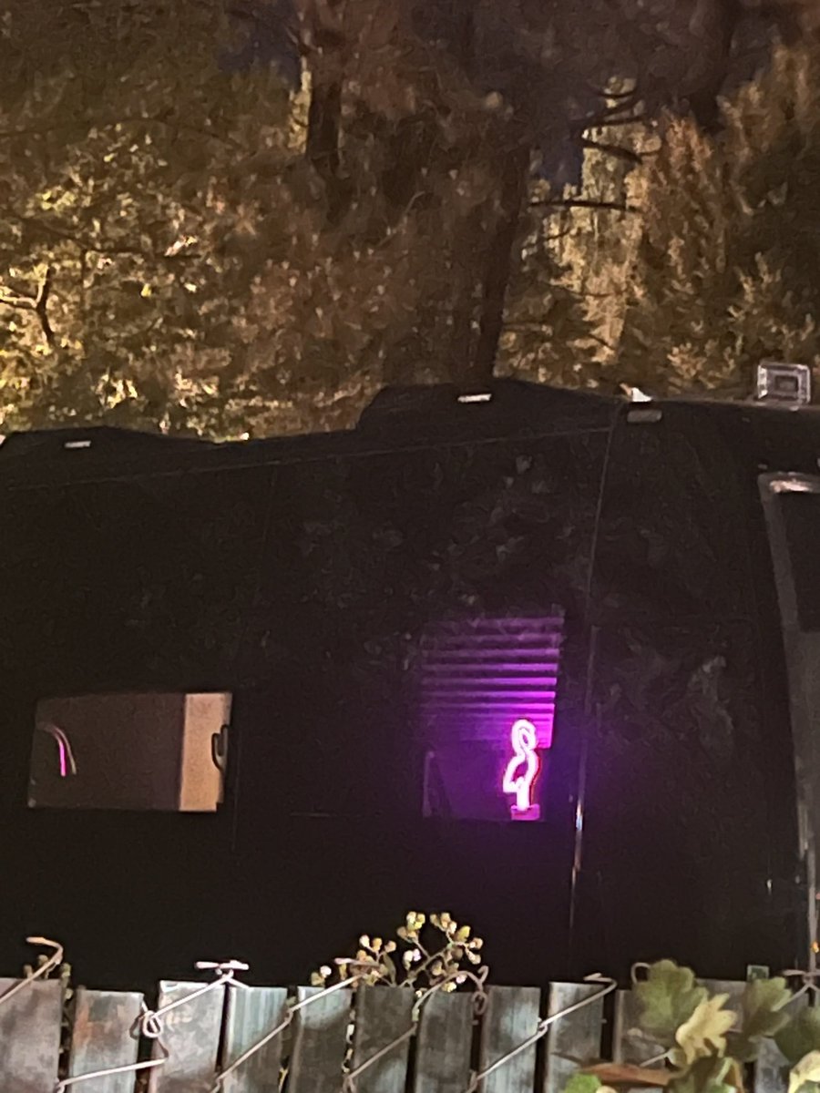 wdym they have a neon pink flamingo on one of Louis' tour buses 😵‍💫😵‍💫