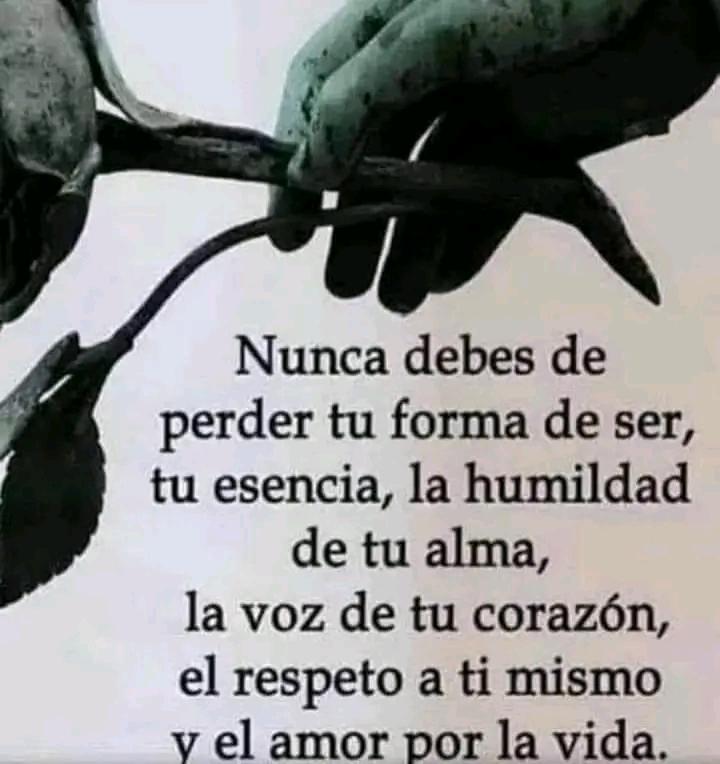 Buenos días y feliz miércoles 🥪☕❤️
