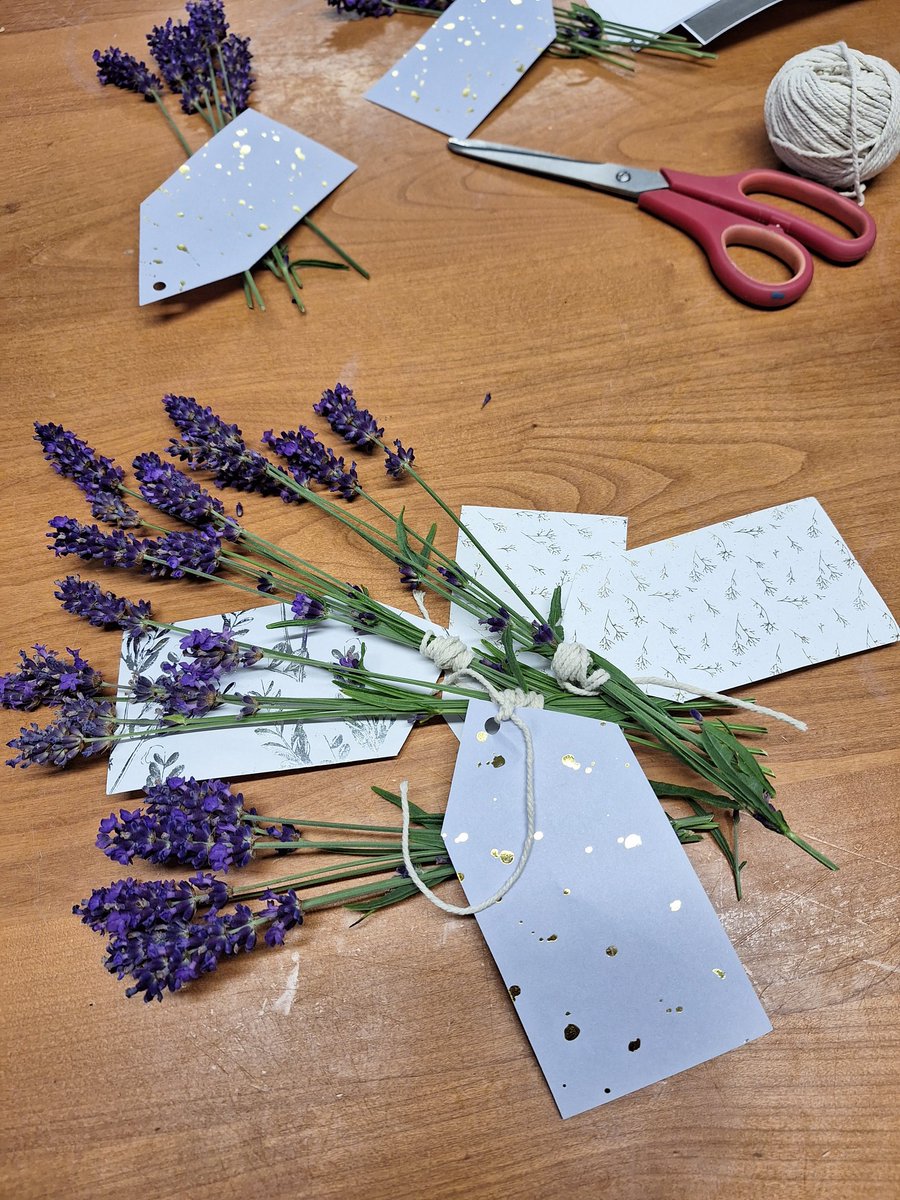 timeyetfor's tweet photo. Smells hold strong memories.
We often smell lavender in the Nurture Room so for end of year gifts to my students, I gave them lavender, so when they smell it they can think of Nurture and I can think of them!
They were delighted โบ๏ธ
#Nurture #transitionalobject https://t.co/MDpfENBNbR