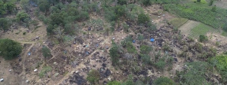 LeiiDyQuiroz's tweet photo. Aquí un breve hilo de la situación que se está viviendo en Changuinola. 

Hace 15 días un grupo de personas, invadieron 12 hectáreas de una finca privada.
Deforestaron más de 8 hectáreas de bosque y provocaron un incendio forestal.
Las autoridades, bien gracias…🫤 https://t.co/TgN9EcXs9f