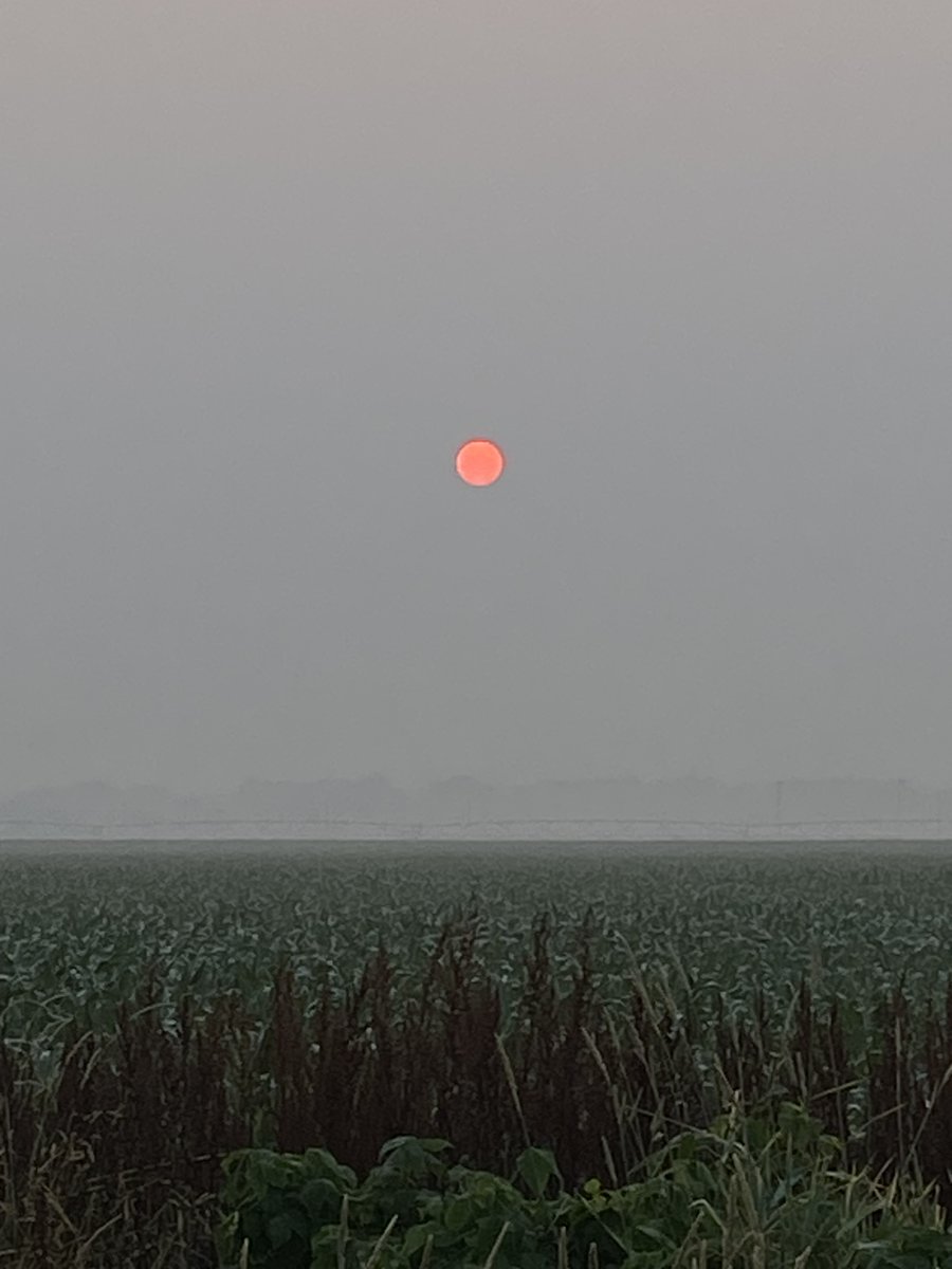 BMontgomeryWSBT's tweet photo. This sunrise with the smoky skies almost looks like another sun should be out there. #StarWars #Luuuke https://t.co/jPFcEeQFjs