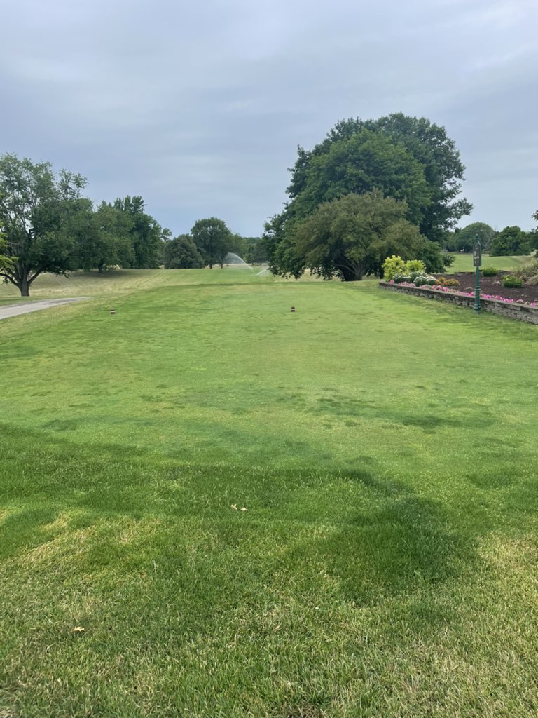 Good morning! A little Aqueduct Flex recovery with your coffee. 9 days after app and no rain. <a href="/Aquatrols/">Aquatrols Company</a> <a href="/SiteOneSupply/">SiteOne Landscape Supply</a>