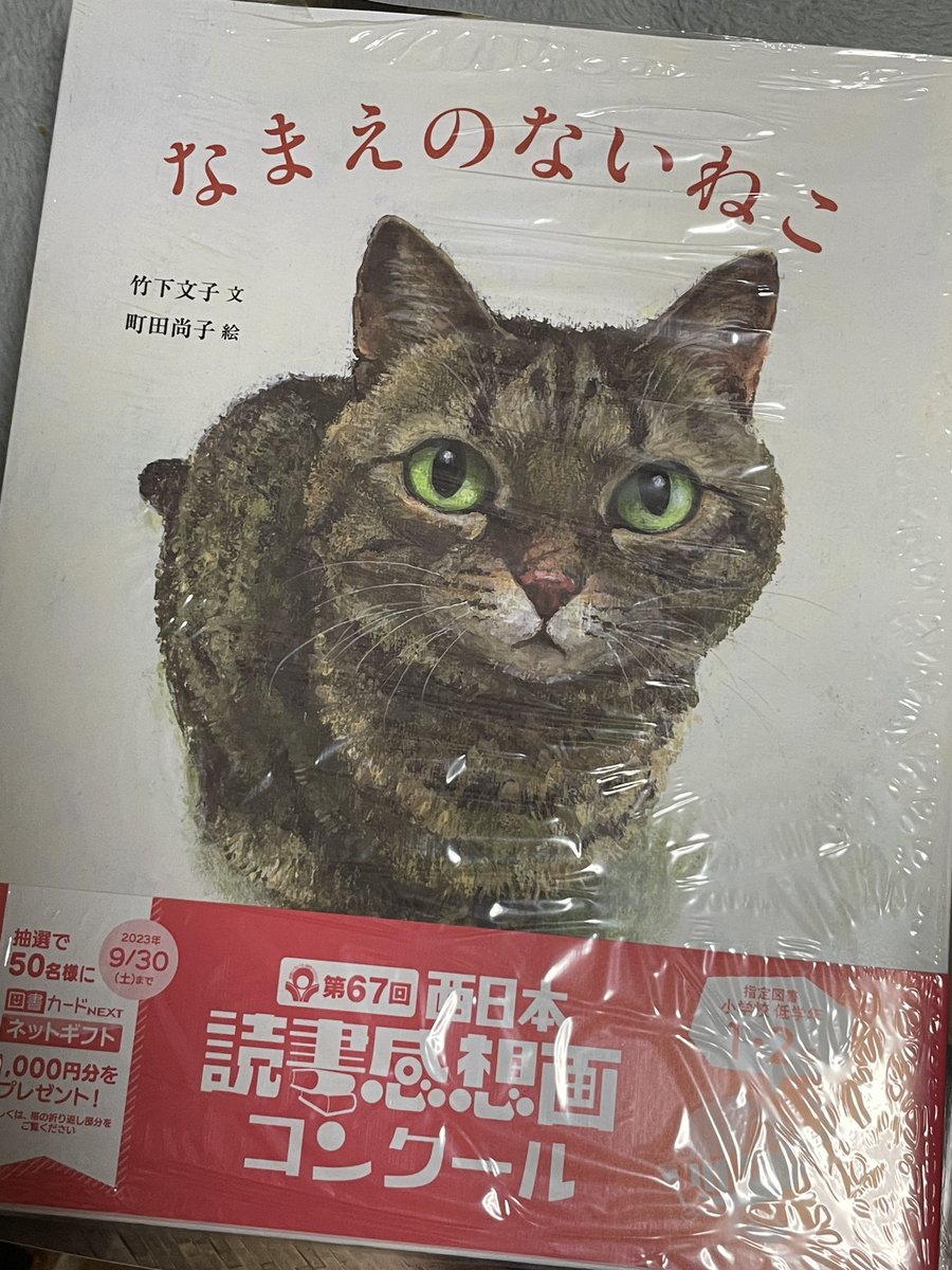 なまえのないネコページです。 Amazon.co.jp: なまえのないねこ