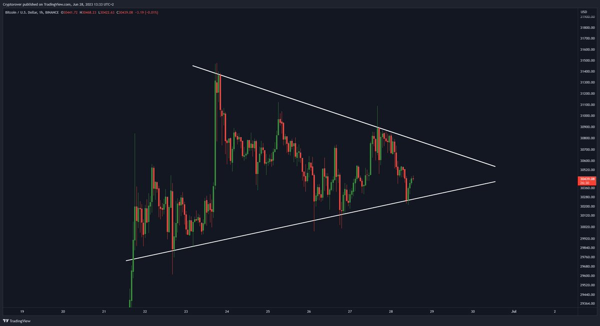 Crypto Rover tweet media