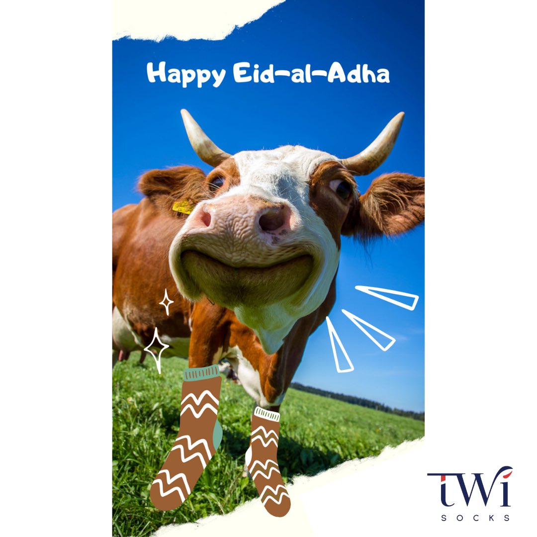 Happy Eid-al-Adha 🐑 #KurbanBayramı #twisocks