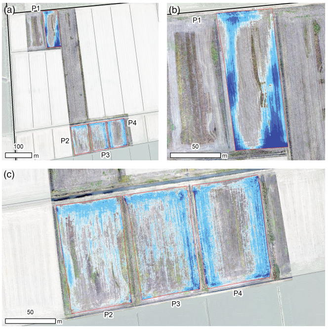 EarthSurfS's tweet photo. Excess #water on the #surface can lead to plant death and create numerous problems in terms of #farm #management.

⚠️ Take a look > #paper⚠️
📜 Mapping potential surface #ponding in #agriculture using UAV-SfM

🌐https://t.co/ceIX3pXDCd https://t.co/1R2itngwr6