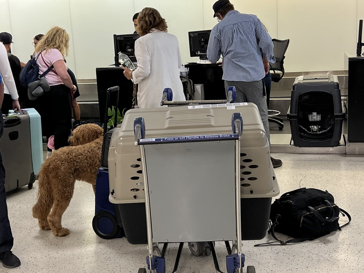 It seems to take about 25 mins to check two dogs on @AlaskaAir  #nasfaa2023