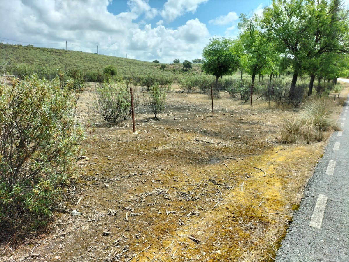 Consejería Transición Ecológica y Sostenibilidad tweet media