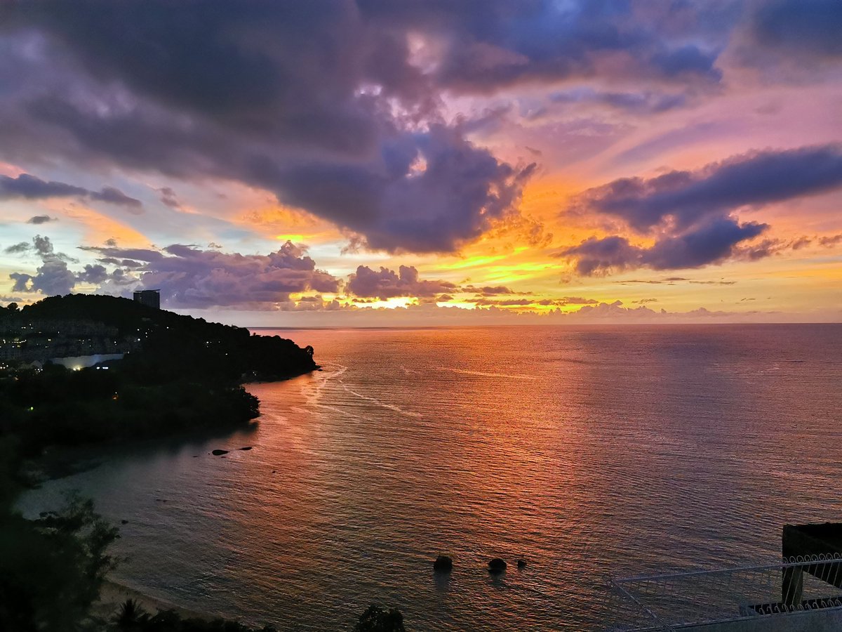 Alan Holden tweet media