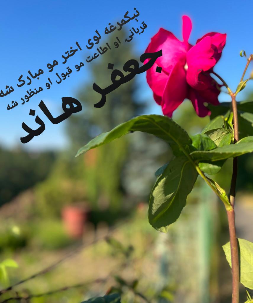 HaandJaffer's tweet photo. نېکمرغه لوی اختر مو مبارک شه
اطاعتونه قربانۍ خجونه مو د الله جلاجلاله په دربار کې قبول او منظور شه
هره ورځ مو اختر اختر https://t.co/jNHxXLgB3E
