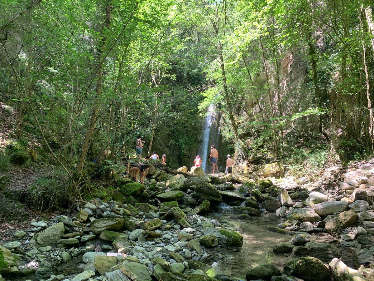 Wikitoki tweet media