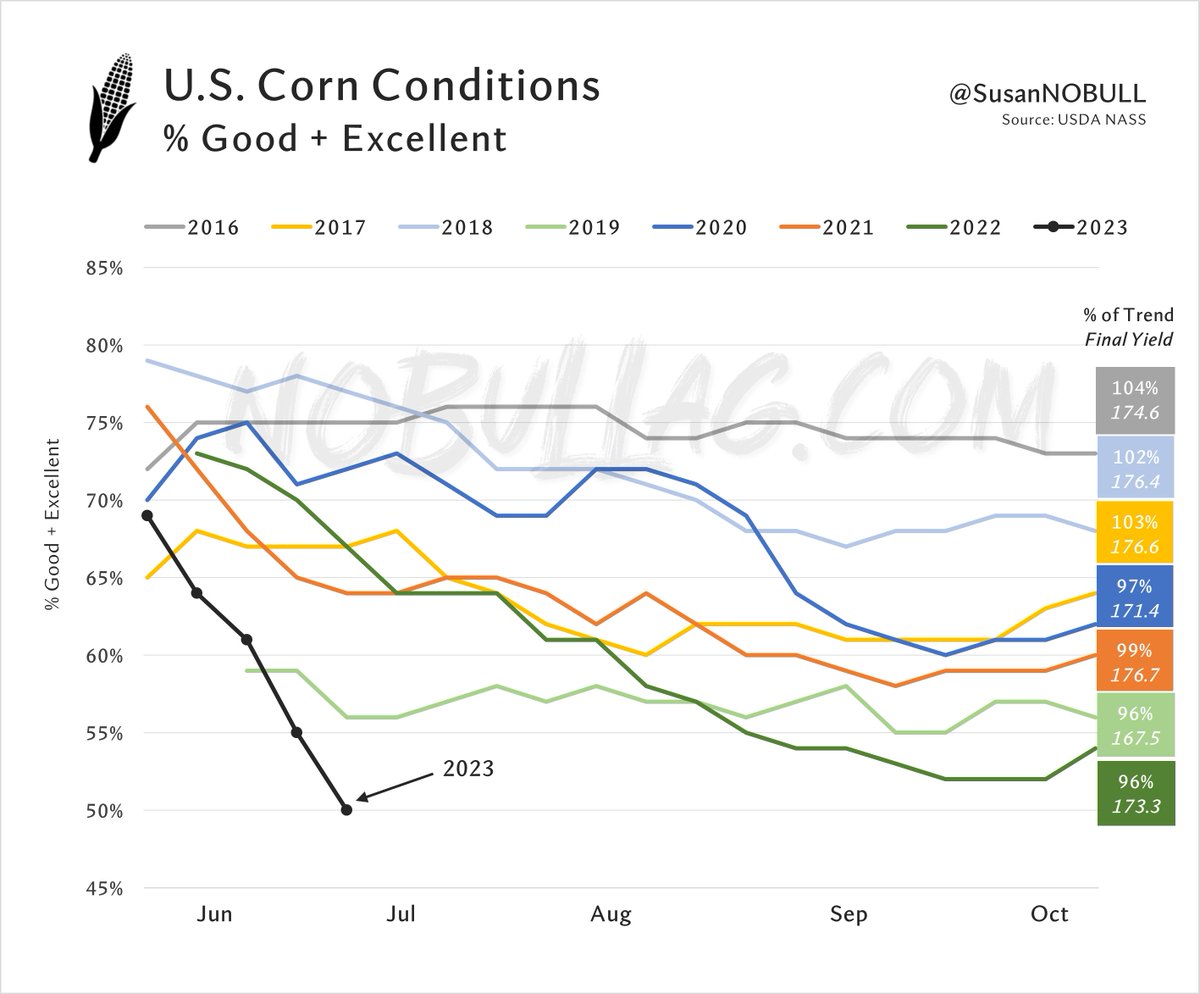 Susan Stroud tweet media