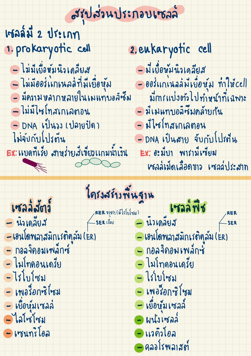 jaidee_fastread's tweet photo. แจกสรุปปปคุ้บบบ🥰 แชร์ต่อได้เลยน้าไม่ต้องขอเค้า 🫶
ไว้เค้าจะทำมาแบ่งเรื่อยๆน้า
#สรุป #แจกสรุป #สรุปชีวะ #แจกชีทสรุป #แจกฟรี https://t.co/FEEVr4Mqe7
