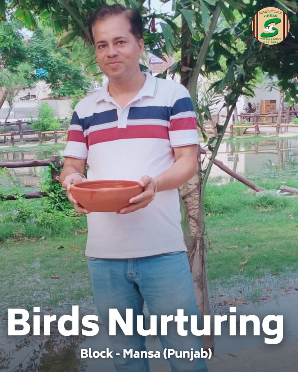 Preparing safe havens for our feathered friends! 🐦 Shah Satnam Ji Green 'S' Welfare Force Wing volunteers are diligently placing clay pots for keeping water and feed for birds to help them survive the summer ☀️ heat. #BirdsNurturing #SummerCare