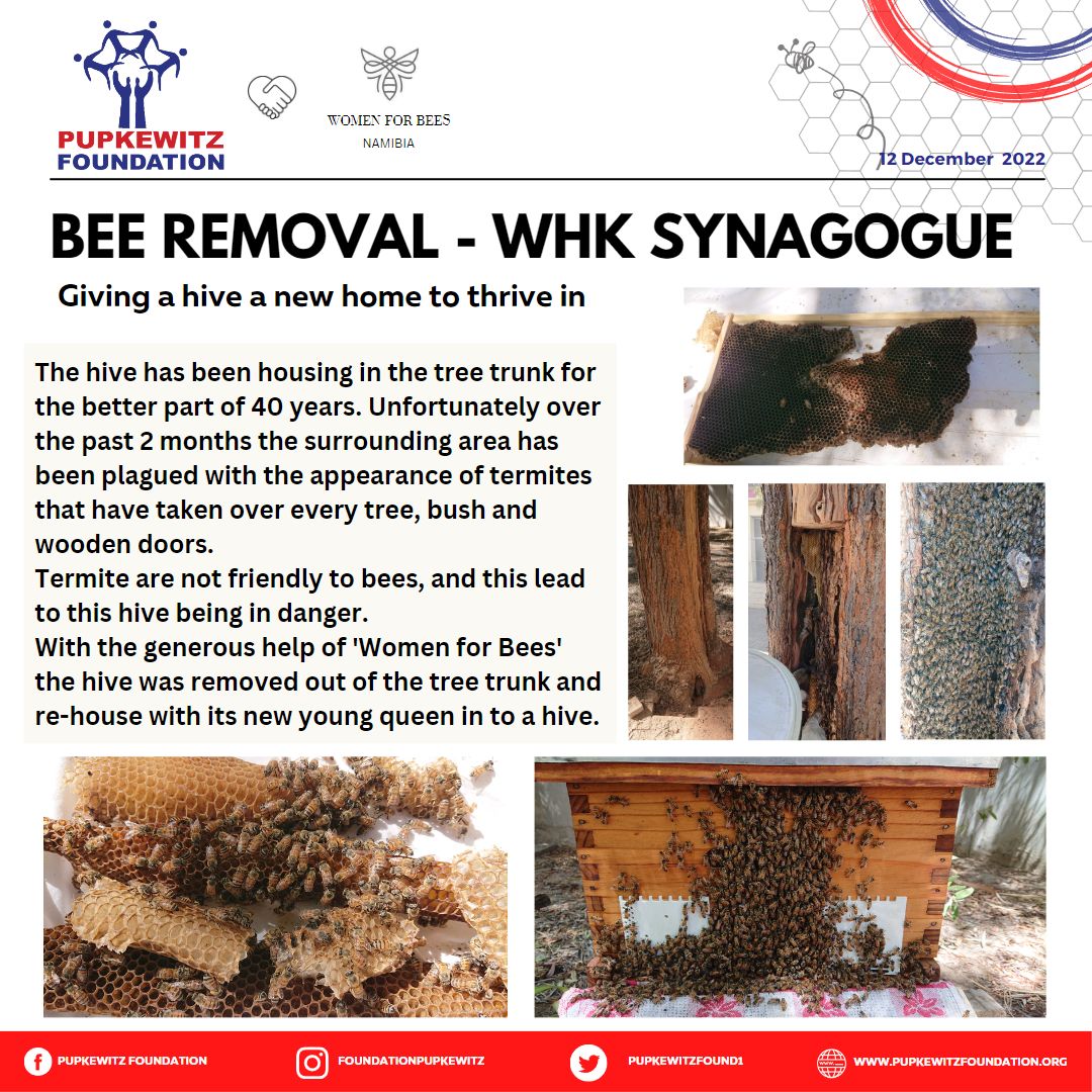 "Bees do have a smell, you know, and if they don't, they should, for their feet are dusted with spices from a million flowers." - Ray Bradbury, Dandelion Wine
#bees #bee #honey #savethebees #beekeeping #beekeeper #honeybees #flowers #honeybee #beehive #pollinators #honeycomb