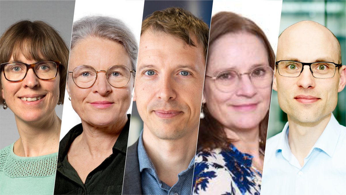 Folketinget har bestilt en opdateret magtudredning, der skal kortlægge dansk demokratis tilstand og vilkår i det 21. århundrede. Nu står det klart, at disse fem professorer skal lede forskningsarbejdet: bss.au.dk/aarhus-bss-nyh… #magtudredning #dkforsk #dkpol