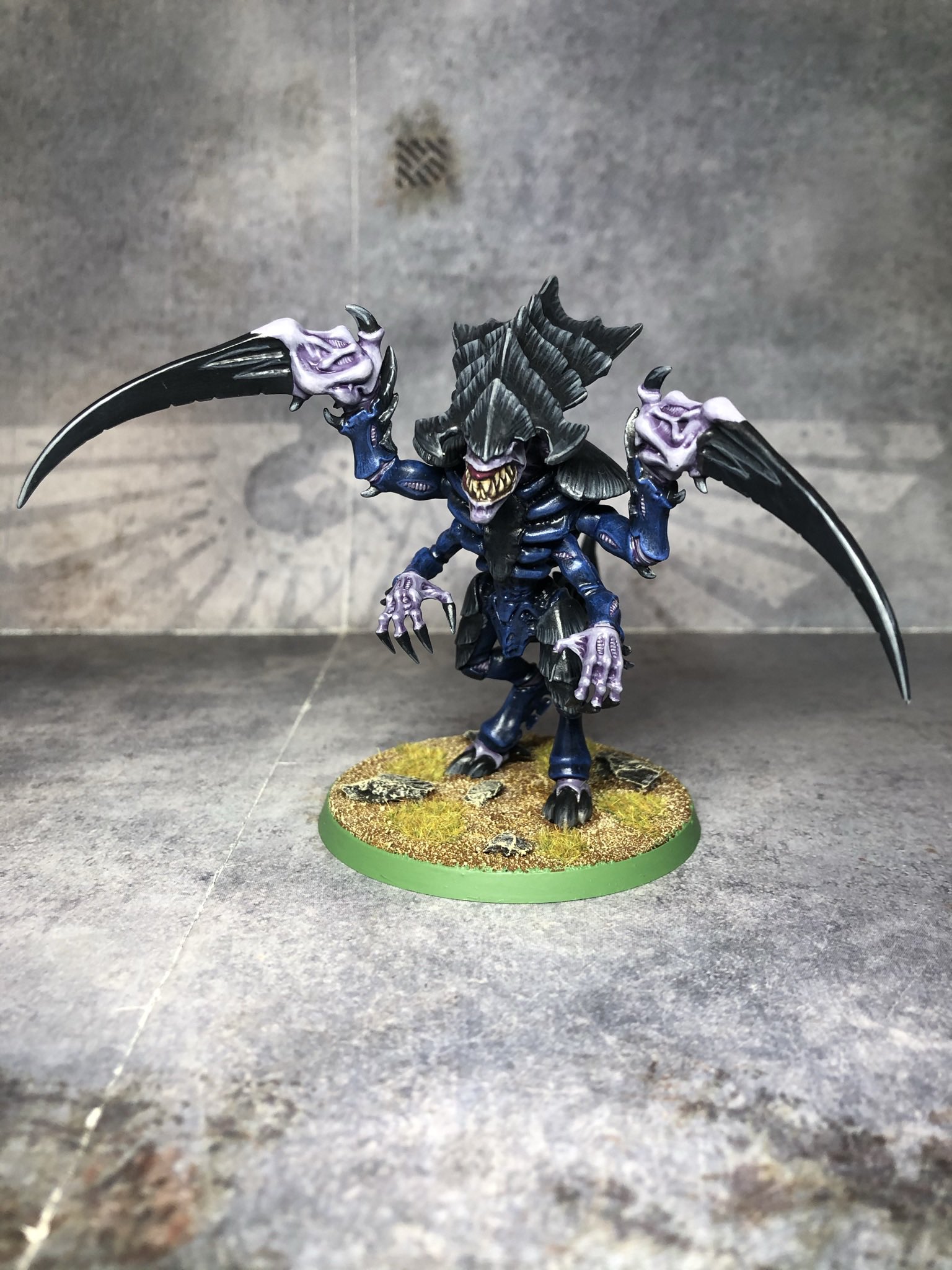 hide Divinite Hive / Stellar ＋2枚 a0316863426_10.jpg